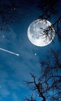 月亮吃瓜娱乐说